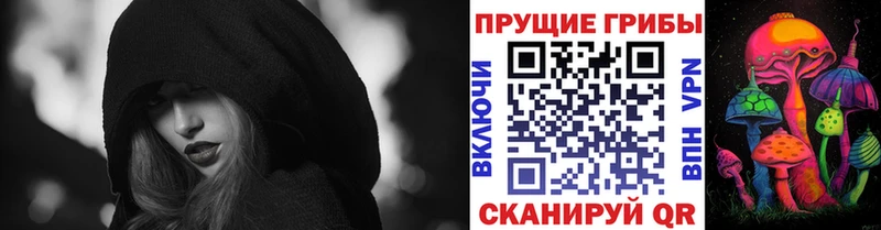 как найти Стрежевой Галлюциногенные грибы Magic Shrooms
